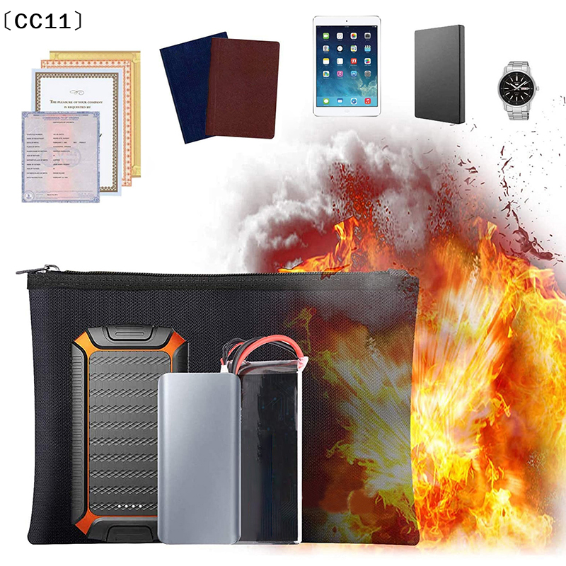 Fireproof Document Bag Waterpr - Fire Safe Document recensione e prezzo