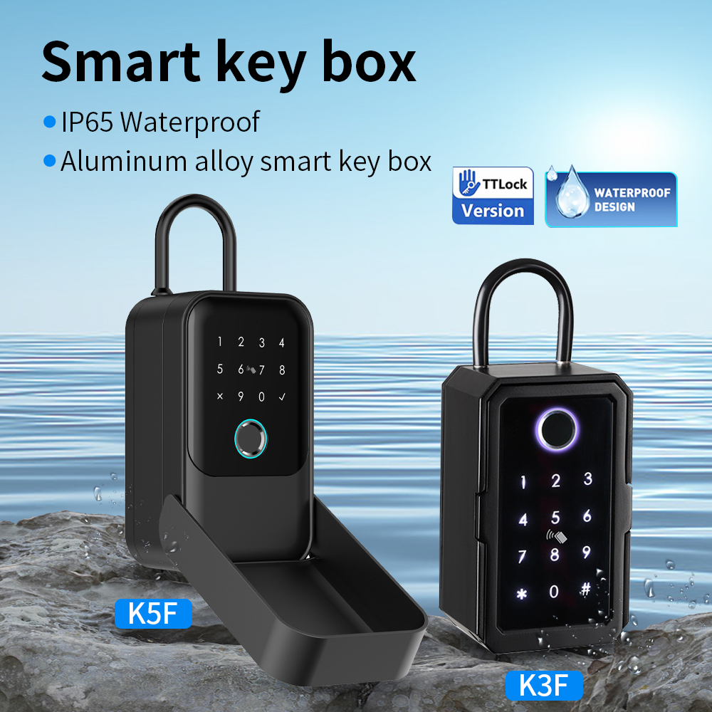 Tuya Smart Life App or TTLock  - Lockbox Key Secure recensione e prezzo