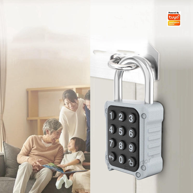 EGFirtor Tuya APP Electronic S - Lockbox Key Secure recensione e prezzo