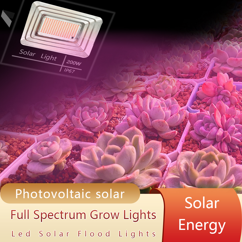 LED Full Spectrum Phyto Lamp 2 - Power Outage Light recensione e prezzo