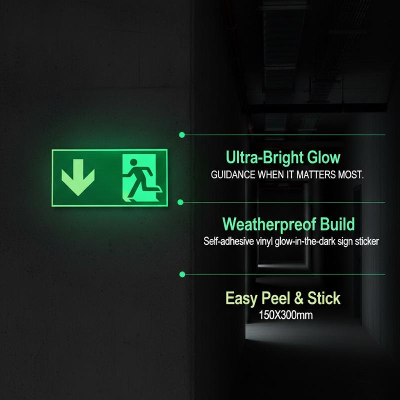 1 Sheet Glow-In-The-Dark Safet - Emergency Exit Sign recensione e prezzo
