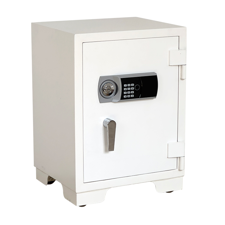 Bank Home Office Deposit Secur - Fire Safe Document recensione e prezzo