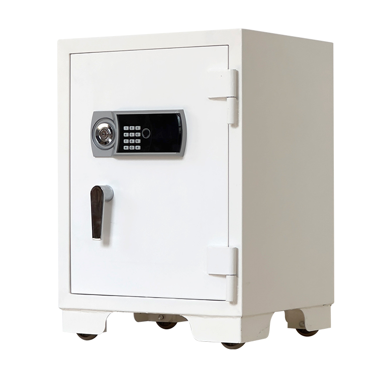 Bank Home Office Deposit Secur - Fire Safe Document recensione e prezzo