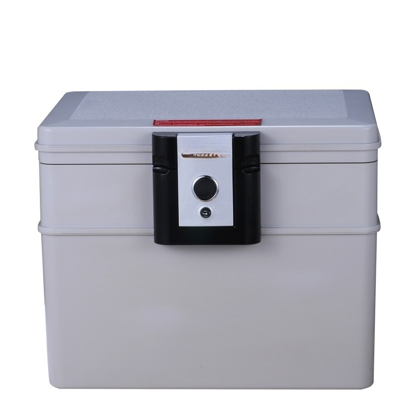 Fire Safe Storage Digital Prod - Fire Safe Document recensione e prezzo