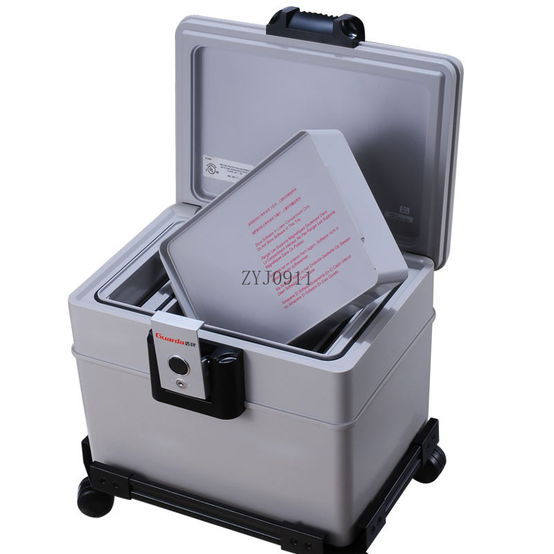 Fire Safe Storage Digital Prod - Fire Safe Document recensione e prezzo